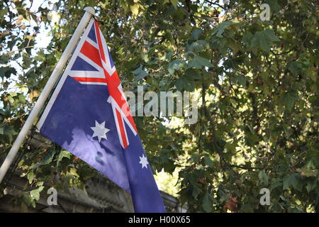 Bandiera australiana, bandiera di Australia, rovinato blue ensign, Union Jack nel cantone, a stella con sette punte, stella del Commonwealth, 1901 Foto Stock