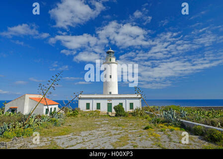 Secolo impianto (Agave spec.), lontano de La Mola, faro di Kap Formenteras, Spagna, Balearen, Formentera, El Pilar de la Mola Foto Stock