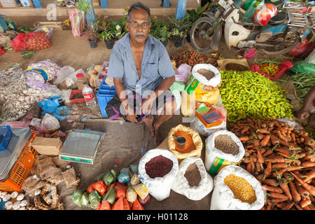 HIKKADUWA, SRI LANKA - Febbraio 23, 2014: strada locale di vendita del fornitore di spezie. Il mercato della domenica è un ottimo modo per vedere Hikkaduwa's Foto Stock