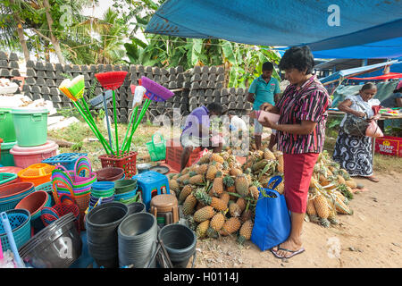 HIKKADUWA, SRI LANKA - Febbraio 23, 2014: Locale street venditore a vendere i prodotti in plastica e ananas. Il mercato della domenica grea Foto Stock