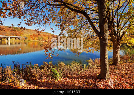 Seilersee in autunno , in Germania, in Renania settentrionale-Vestfalia, Sauerland, Iserlohn Foto Stock