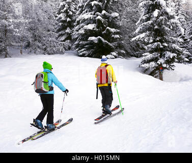 Sci backcountry nella parte anteriore dei boschi innevati, Francia, Savoie, Sainte-Foy Tarentaise Foto Stock