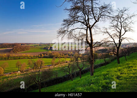 Paesaggio con casale in Muensterlandm, vie da Burgberg, in Germania, in Renania settentrionale-Vestfalia, Muensterland, Oelde-Stromberg Foto Stock