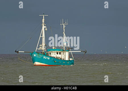 Barca da pesca in mare di marea, Germania, Schleswig-Holstein, Frisia settentrionale, Hallig Hooge Foto Stock