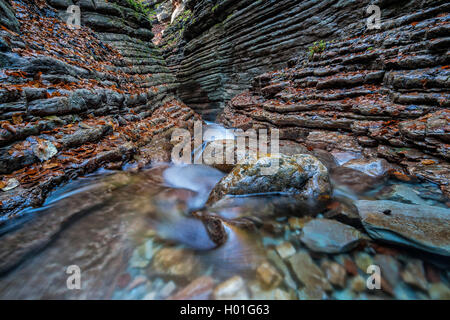 Tauglbachs fiume che scorre attraverso la gola Taugl, Austria Foto Stock