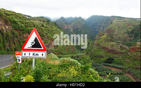 Strada attraverso la foresta laurel nelle montagne vicino La Galga, Isole Canarie La Palma Foto Stock