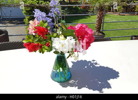 Rhododendron Catawba Catawba, Rose Bay (Rhododendron catawbiense), fiori di rododendro e jacinthe in un vaso di fiori su una scrivania di terrazza, Germania Foto Stock