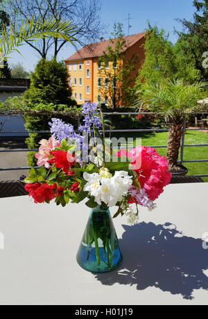 Rhododendron Catawba Catawba, Rose Bay (Rhododendron catawbiense), fiori di rododendro e jacinthe in un vaso di fiori su una scrivania di terrazza, Germania Foto Stock