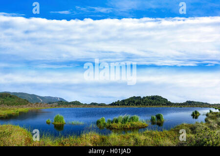 Alta moor paesaggio con Wildsee vicino Peustelau, in Germania, in Baviera, Alta Baviera, Baviera superiore Foto Stock