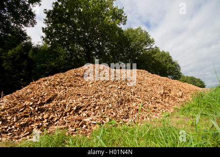 Trucioli di legno Foto Stock