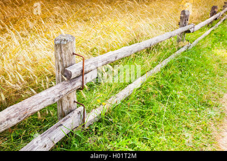 Rural staccionata in legno lungo il campo della segale nella stagione estiva Foto Stock