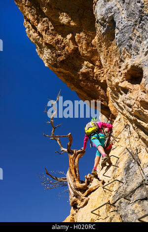 Scalatore femmina ad albero morto alla scogliera di via ferrata de la Grande Fistoire, Francia, Caire, Sisteron Foto Stock