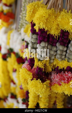 Indian ghirlande di fiori Foto Stock