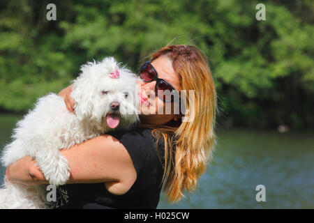 Maltese (Canis lupus f. familiaris), donna bionda con sette anni di maltese sulle sue braccia, Germania Foto Stock