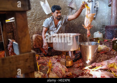 MUMBAI, India - 11 gennaio 2015: Addetto pulizia pollo morto su un mercato. Foto Stock