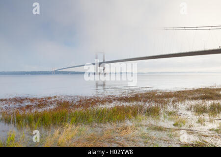 Il Humber Bridge nella nebbia e nebbia. Il ponte collega Barton-su-Humber in Lincolnshire settentrionale a Hessle in East Yorkshire. Foto Stock