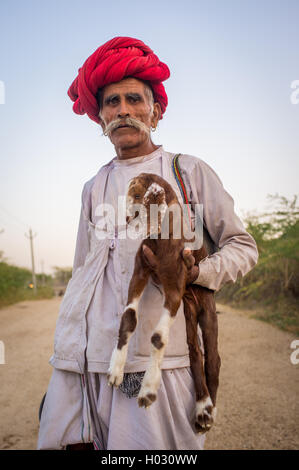 Regione GODWAR, India - 13 febbraio 2015: Anziani Rabari tribesman sorge e trattiene goatling. Rabari o Rewari sono un Indiano comm Foto Stock