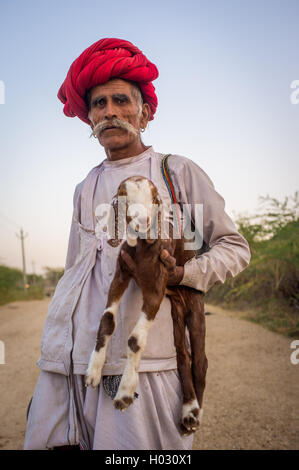 Regione GODWAR, India - 13 febbraio 2015: Anziani Rabari tribesman sorge e trattiene goatling. Rabari o Rewari sono un Indiano comm Foto Stock