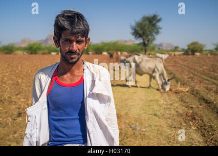 Regione GODWAR, India - 14 febbraio 2015: il giovane pastore Rabari con turbante non sta in campo con il bestiame. Rabari sono un indiano Foto Stock