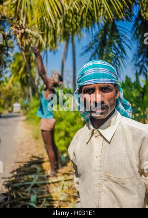 HAMPI, India - 28 gennaio 2015: Ritratto di lavoratore indiano con secondo lavoratore di canna da zucchero di carico sul carrello Foto Stock