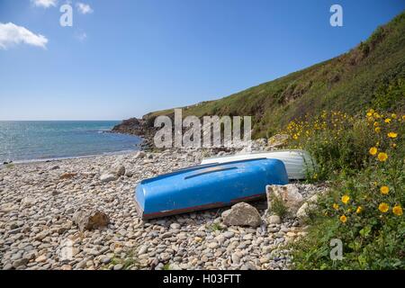 Aber Mawr, Pembrokeshire, Galles, Gran Bretagna Foto Stock