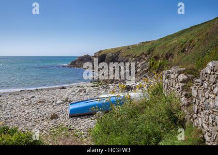 Aber Mawr, Pembrokeshire, Galles, Gran Bretagna Foto Stock