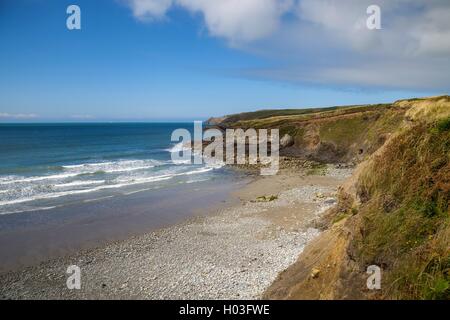 Aber Mawr, Pembrokeshire, Galles, Gran Bretagna Foto Stock