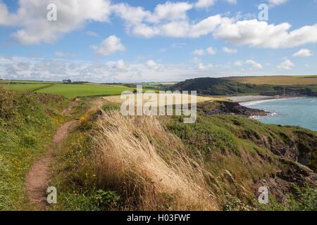 Aber Mawr, Pembrokeshire, Galles, Gran Bretagna Foto Stock