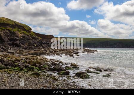 Aber Mawr, Pembrokeshire, Galles, Gran Bretagna Foto Stock