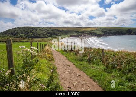 Aber Mawr, Pembrokeshire, Galles, Gran Bretagna Foto Stock