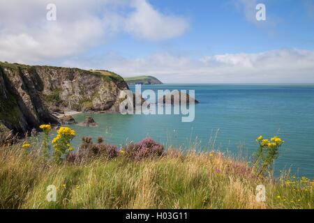 Newport Sands, Pembrokeshire, Galles, Gran Bretagna Foto Stock