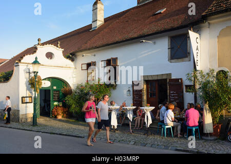 Ruggine: vino ristorante cafe, Neusiedler See (lago di Neusiedl), Burgenland, Austria Foto Stock