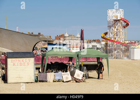 Asino passeggiate sulla spiaggia sabbiosa con asini al riparo dal sole nella località balneare. Melcombe Regis, Weymouth Dorset, England, Regno Unito Foto Stock