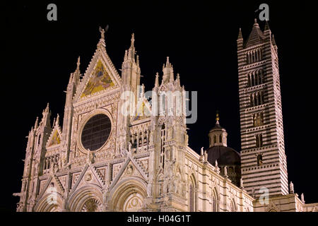 Elaborare la facciata del Duomo, illuminata di notte, Siena, Italia Foto Stock