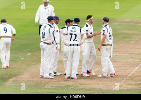 Londra, Regno Unito. Xx Settembre, 2016. Yorkshire giocatori festeggiare il paletto di John Simpson il giorno uno del Specsavers County Championship Division una corrispondenza tra Middlesex e Yorkshire del Lords il 20 settembre 2016 a Londra, Inghilterra. Credito: Michael Jamison/Alamy Live News Foto Stock