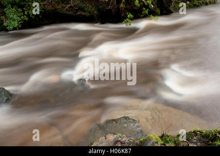 Dean Castle Parco Fiume Foto Stock