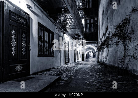 Moody visualizzazione monocromatica di una strada di ciottoli passaggio nel centro della città vecchia di Sibiu, Romania Foto Stock