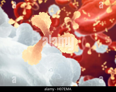 Anticorpi e bianco e cellule di sangue rosse , immunoglobulina e cellule di plasma , malattia infettiva , il sistema immunitario Foto Stock