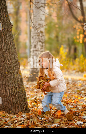 Poco carino ragazza raccoglie foglie cadute in autunno park. Foto Stock