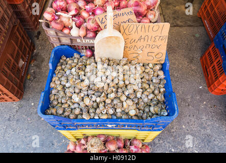 Le lumache per la vendita in una fase di stallo a Chania sabato street market, Chania, Creta, Grecia Foto Stock