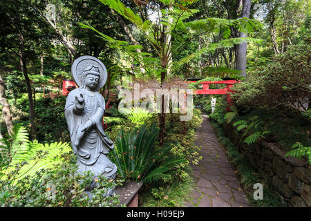 Oriental Garden, Monte Palace Tropical Garden, uno di Madera più famoso, Monte, Funchal, Madeira Atlantico, Portogallo, Europa Foto Stock