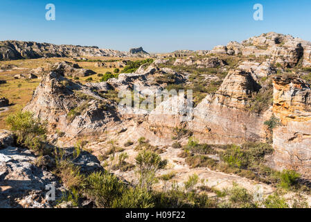 Isalo National Park, Regione di Ihorombe, a sud-ovest del Madagascar, Africa Foto Stock