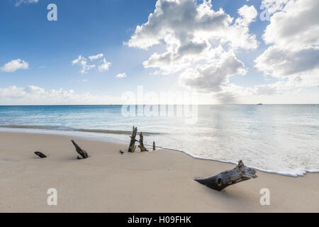 Tronchi di alberi sulla spiaggia incorniciata dal cristallino mare dei Caraibi, Ffryes Beach, Antigua, ntigua e Barbuda, Isole Sottovento Foto Stock