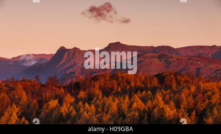 The Langdale Pikes accesa nel bagliore dorato di alba luce su una mattina di autunno nel Parco Nazionale del Distretto dei Laghi, Cumbria, Regno Unito Foto Stock