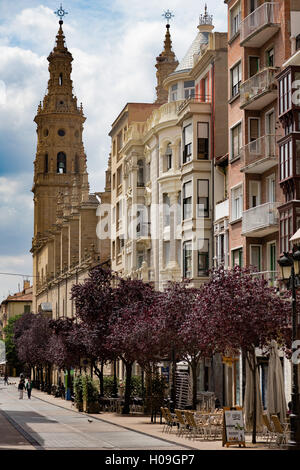 Calle Portales di Santa Maria della Redonda cattedrale a Logrono, La Rioja, Spagna, Europa Foto Stock