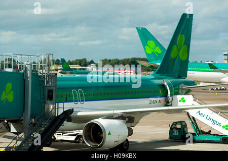 Dublin Airport Terminal Due. Aer Lingus aeromobile sul supporto in corrispondenza di una porta di imbarco Foto Stock