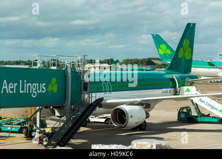 Dublin Airport Terminal Due. Aer Lingus aeromobile sul supporto in corrispondenza di una porta di imbarco Foto Stock