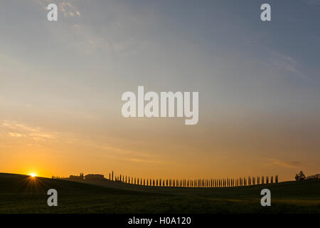 Paesaggio toscano con cipressi e cascina di sunrise, San Quirico d'Orcia, Val d'Orcia, Toscana, Italia Foto Stock