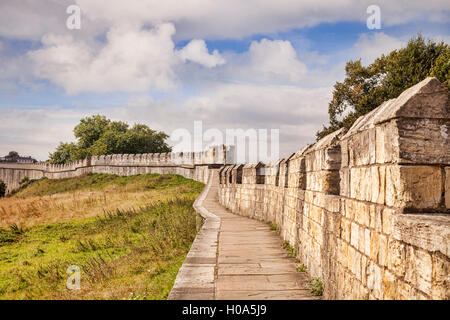 York Mura, North Yorkshire, Inghilterra, Regno Unito Foto Stock