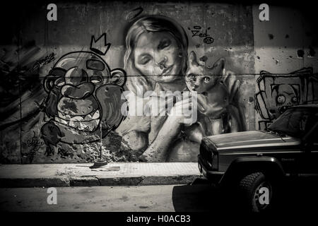 Graffitis a Beirut - 10/08/2015 - Libano / Beirut - Mar Mikhail, Beirut, agosto 2015. Un carattere da Spaz (sinistra) e dalla street-pittore Zed (destra con il cat). Questa parete utilizzato per essere un punto di riferimento come bene, prima che esso sia stato coperto dal comune nel 2016. - Bilal Tarabey / Le Pictorium Foto Stock